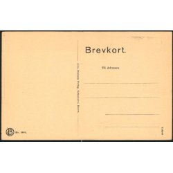 Ribe set fra Hovedengen - Johs. Brorsens 2601