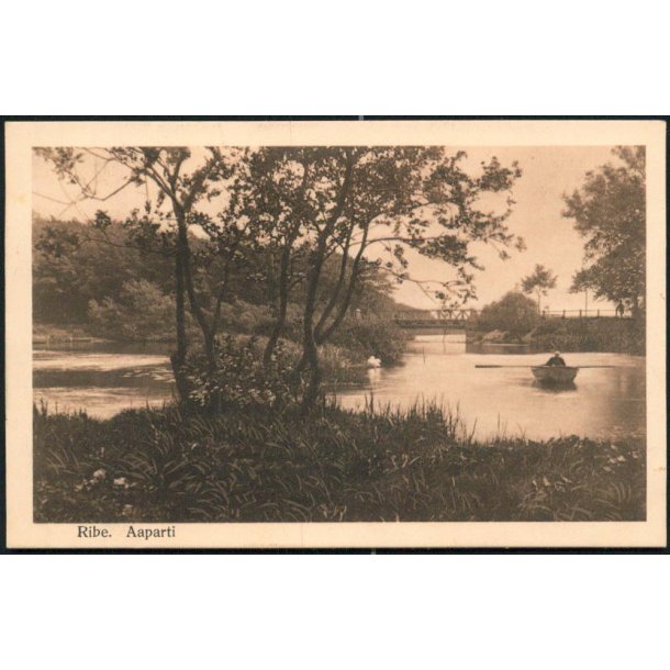 Ribe. Aaparti - Alex Vincent 603