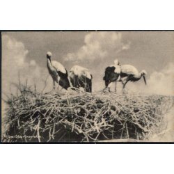 Ribe. Storkerede - Stender 51 K