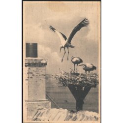 Ribe. Storkerede - Eneret 85771