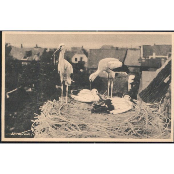 Ribe. Storkerede - Lauridsen 87194