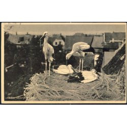 Ribe. Storkerede - Lauridsen 87194