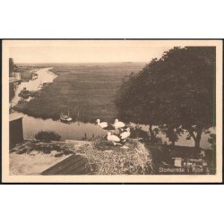 Storkerede i Ribe - H.Bentzen 60945