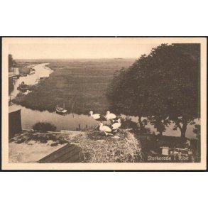 Storkerede i Ribe - H.Bentzen 60945