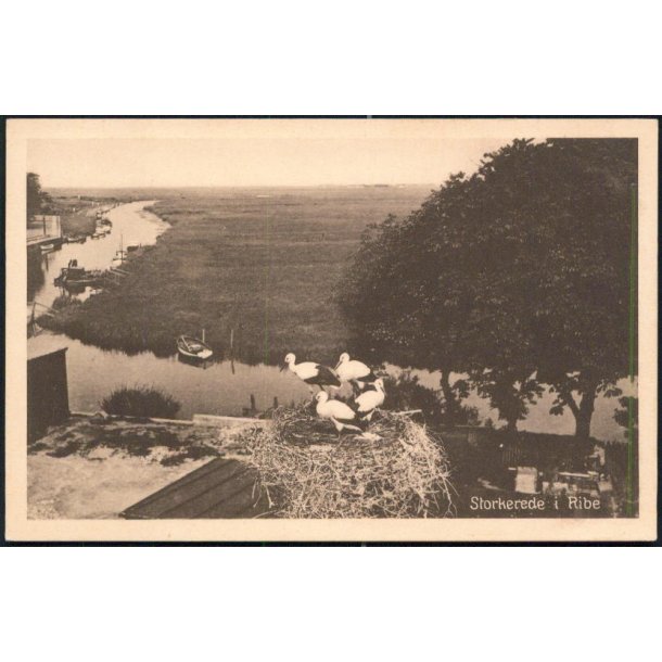 Storkerede i Ribe - H.Bentzen 60945