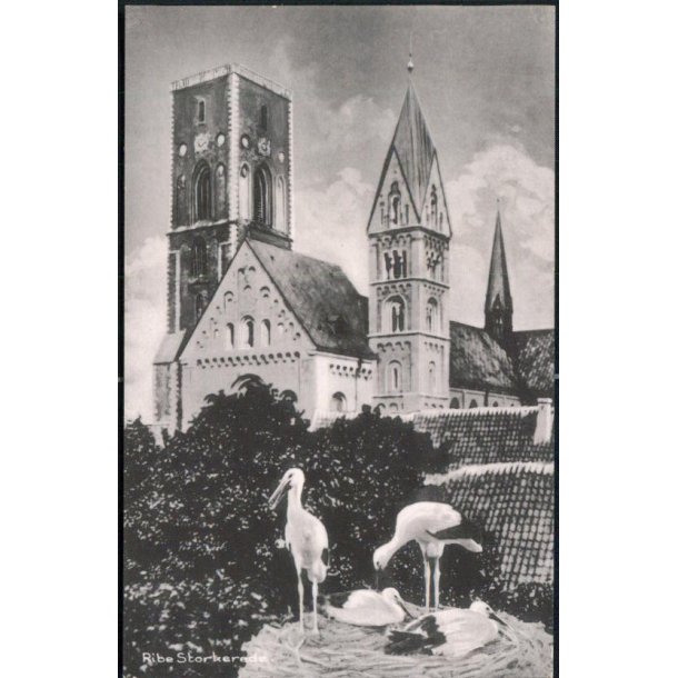 Ribe - Storkerede - Lauridsen 91924