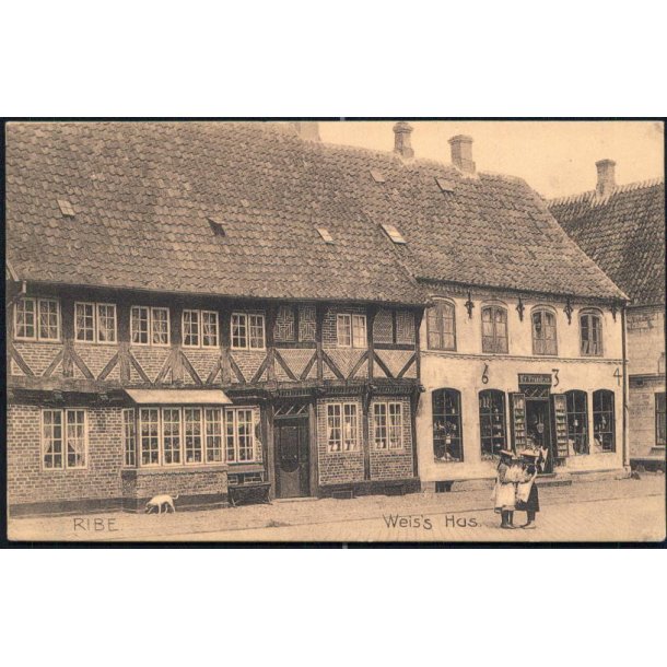 Ribe - Weiss Hus - Stender 17742