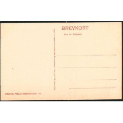 Ribe - Grydregade - Stender 1893