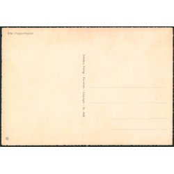 Ribe - Puggaardsgade- Stender 40 814/6