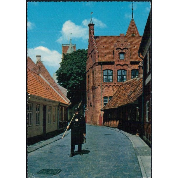 Ribe - V�gteren i Puggaardsgade- Stender 49 814/10