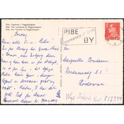 Ribe - V�gteren i Puggaardsgade- Stender 49 814/10