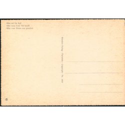 Ribe set fra Syd - Stender 5603