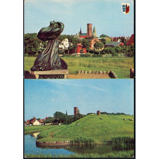 Ribe - Colorama - T - 3