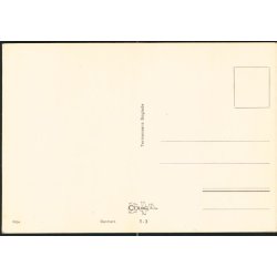 Ribe - Colorama - T - 3