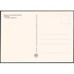 Motiver omkring Ribe Domkirke - A. Niemans 881/90