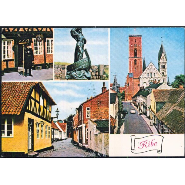 Ribe - Stender 149 814 037