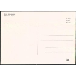 Udsigt fra Ribe Domkirke - HBH u/n