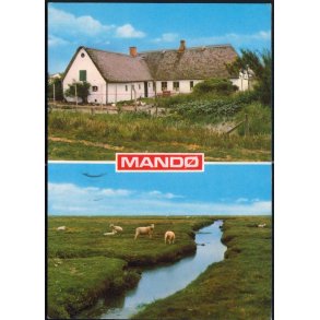 Ribe - Mand� - A. Neimanns 260/83