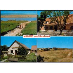 Ribe - Mand� - �en i Vadehavet - Brorsb�l Foto 284