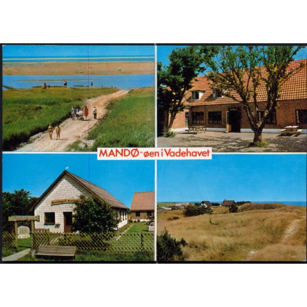 Ribe - Mand� - �en i Vadehavet - Brorsb�l Foto 284