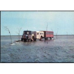 Ribe - Mand� - bussen p� Ebbevej - R. Buchard 902