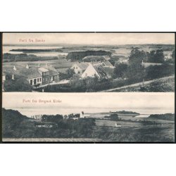 Parti fra R�nde/Bregnet - J.J.N. 2009