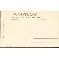 Parti fra R�nde/Bregnet - J.J.N. 2009