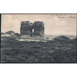 Kal&oslash; Slotsruin - Stender 9175