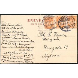 Kbenhavn - Udsigtstaarnet i Zoologisk Have - Sk.B.