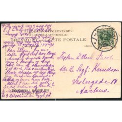 Kbenhavn - Elefantfamilien i Zoologisk Have 1908 - C.Ferslew u/n