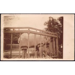 K�benhavn - Elefant- Zoologisk Have - Fotokort u/n