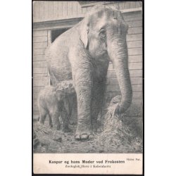 Kasper og hans Moder ved Frokosten - Zoologisk Have i K&oslash;benhavn - Levison u/n